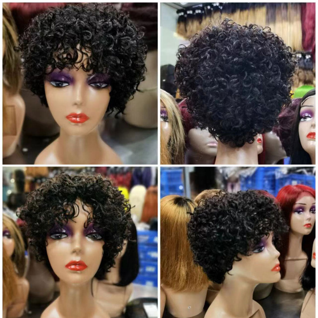 Price of hotsell human hair wigs